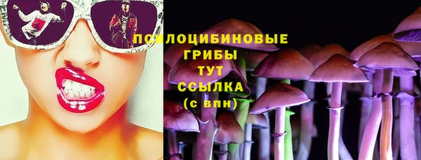 дмт Медногорск