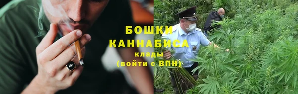 дмт Медногорск