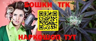 индика Волжский