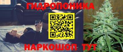 ПСИЛОЦИБИНОВЫЕ ГРИБЫ Волжский