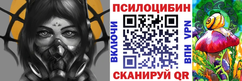 как найти закладки Ессентуки Галлюциногенные грибы ЛСД