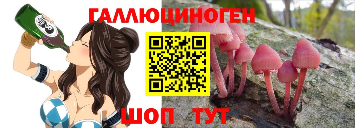 Ессентуки  Галлюциногенные грибы Psilocybine cubensis  Вход с VPN 